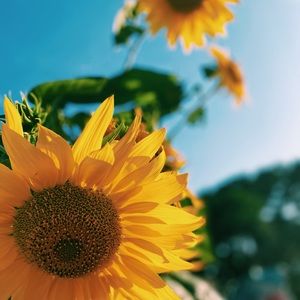 Meet your Posher, Kenzie